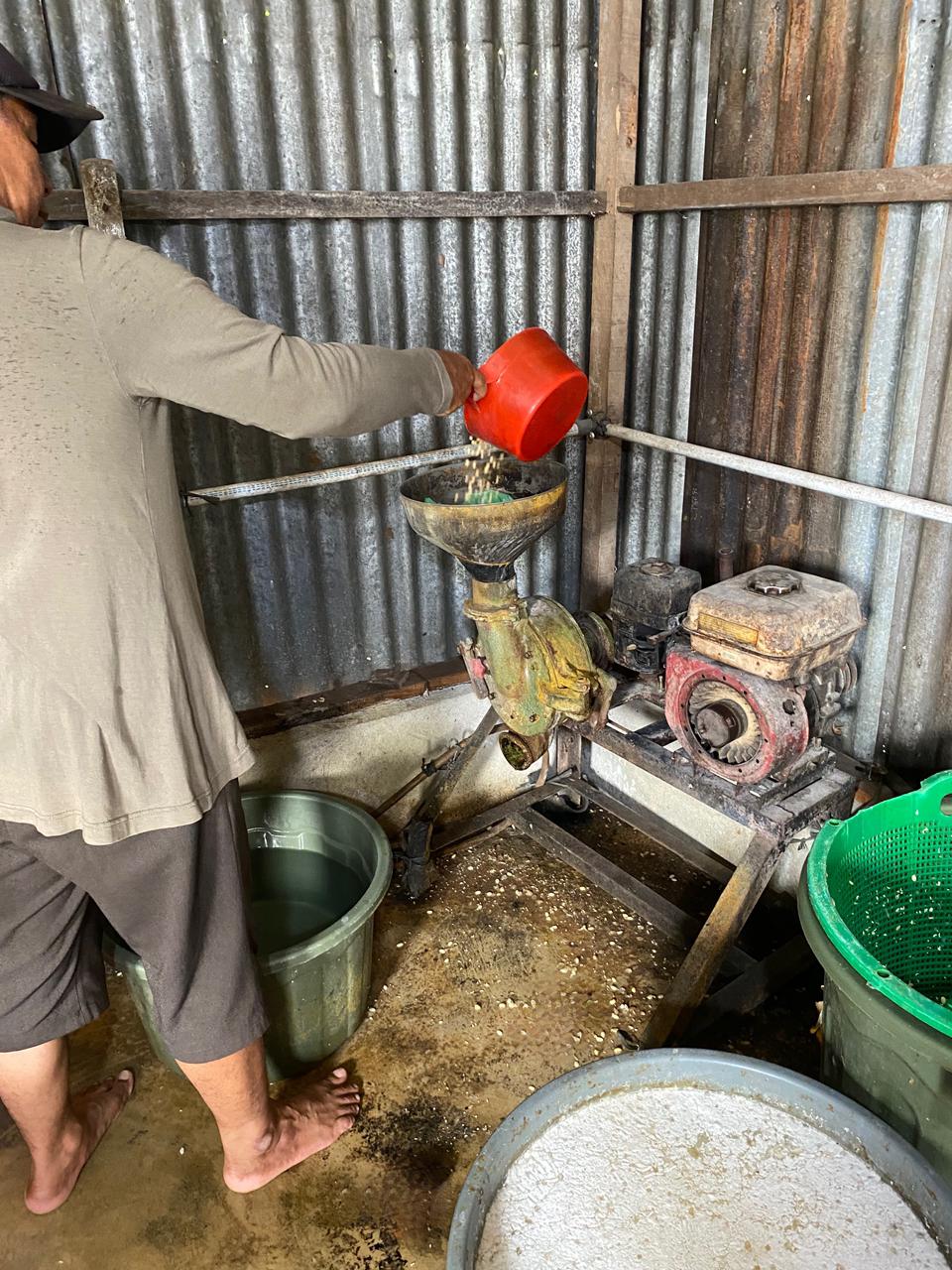 Proses Penggilingan
