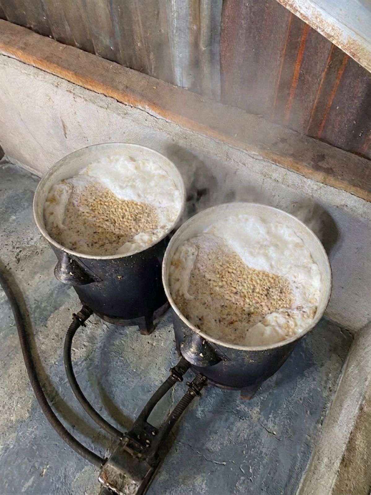 Proses Perebusan Kedelai